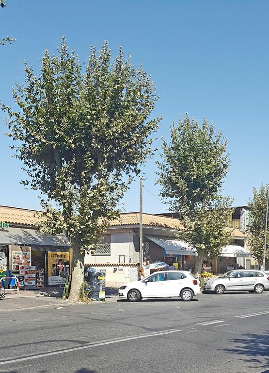 Casa Vacanze Giramondo Fiumicino Exterior foto